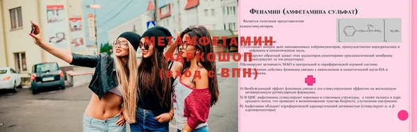 крисы Балахна