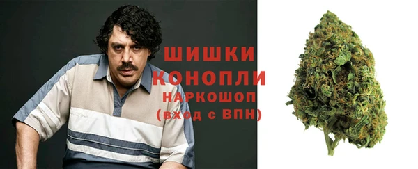 сатива Балабаново